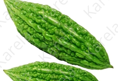 Karela